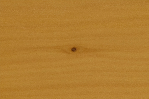 小さい葉節