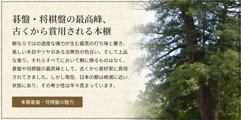 本榧碁盤・将棋盤の魅力