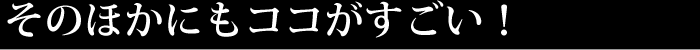 そのほかにもココがすごい！