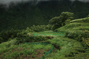 風景