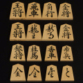 sk00062_item.jpg