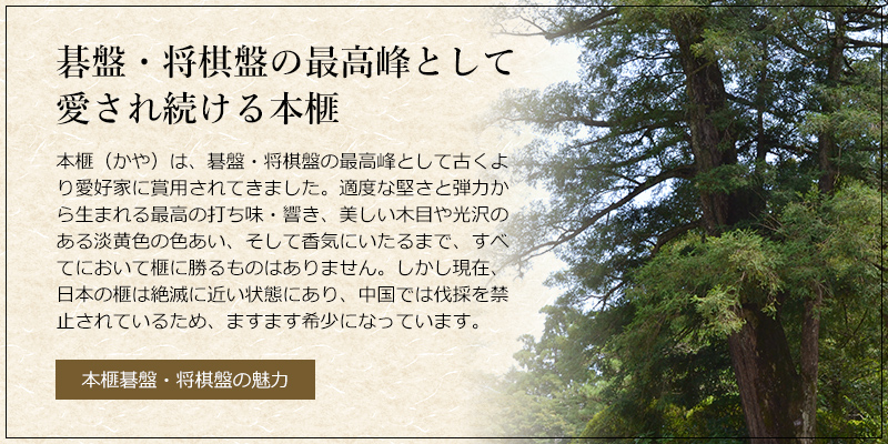 本榧1寸卓上将棋盤セット(ハギ盤・極上) | 前川榧碁盤店 本榧1寸卓上将棋盤セット(ハギ盤・極上) | 前川榧碁盤店